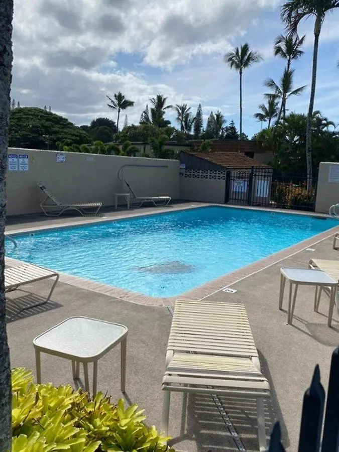 Napili Ridge A2 Villa Kahana United States