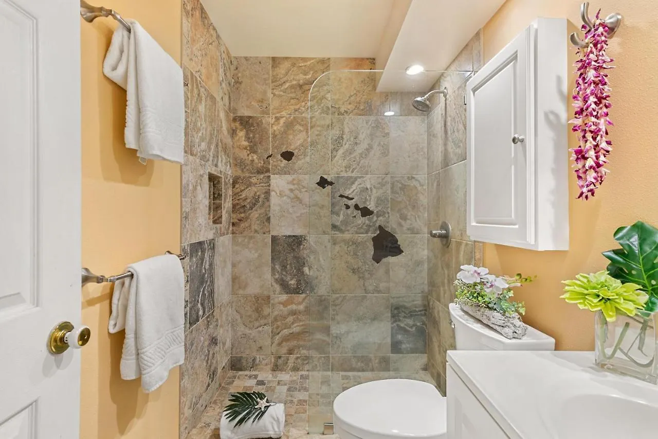 Napili Ridge A2 Villa Kahana Holiday home
