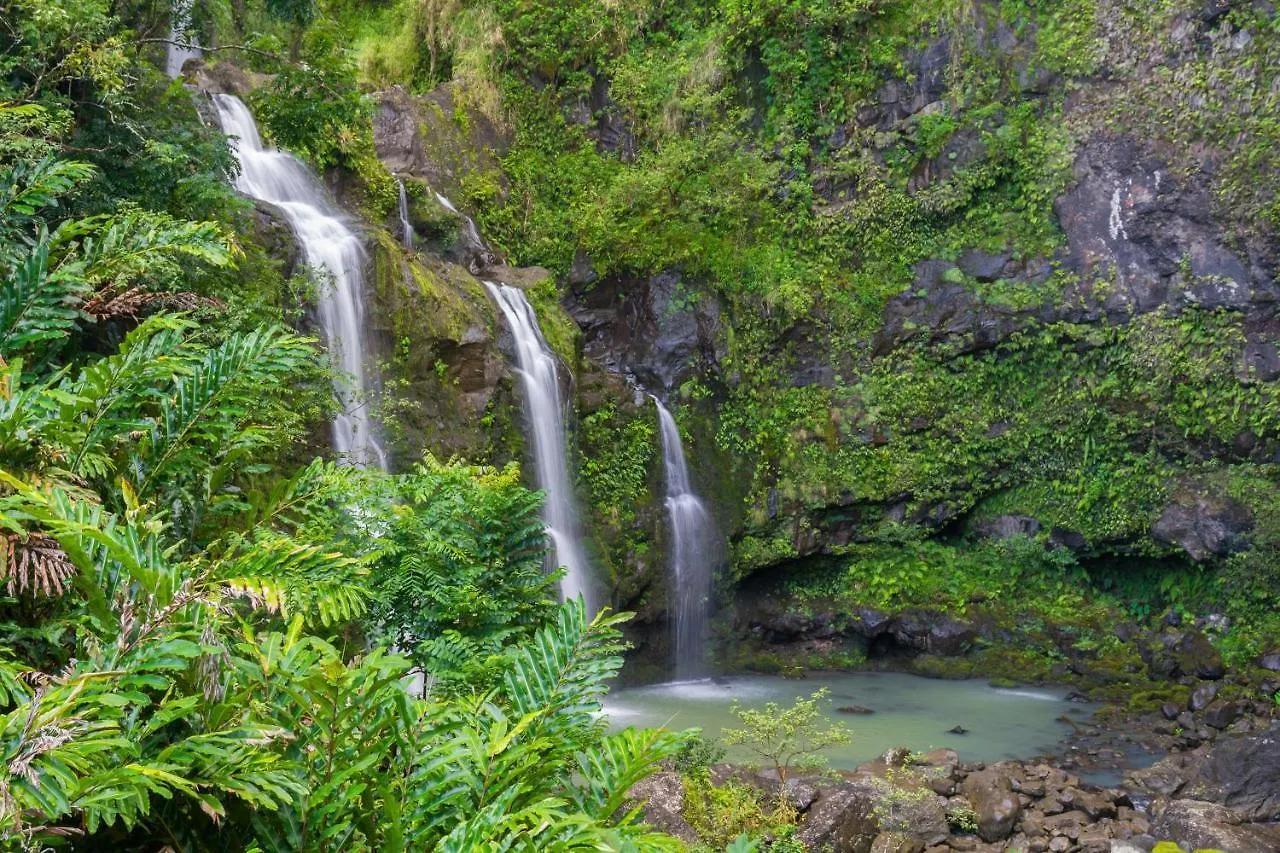 Napili Ridge A2 Villa Kahana